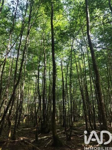 Terrain à vendre 82 500 m² Châteauneuf-Val-de-Bargis