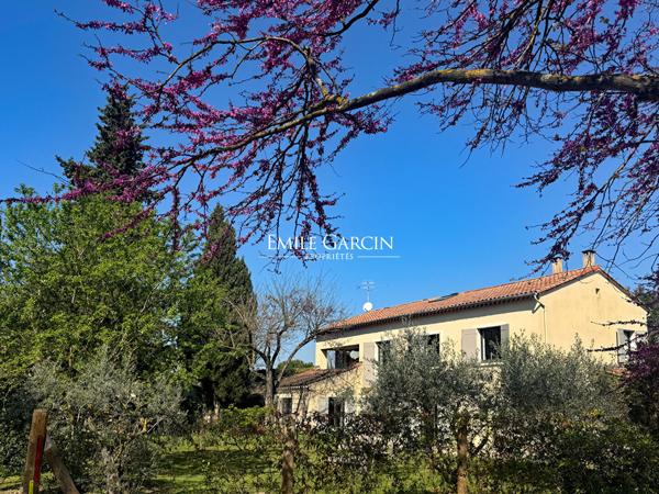A vendre - Saint Rémy de Provence - Maison et jardin à pied du centre