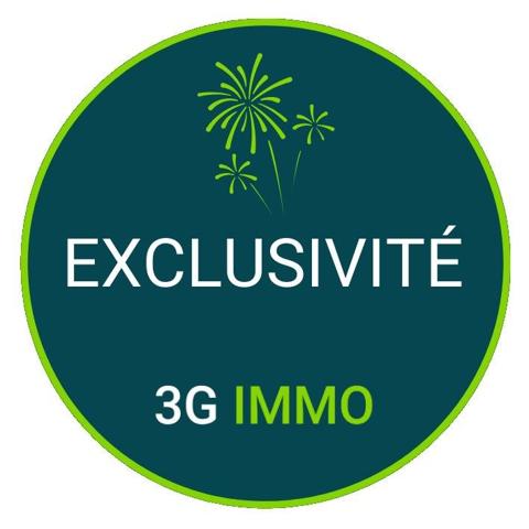 Vente / Maison en pierre