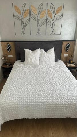 Appartement de 57 m²