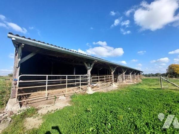 A VENDRE- TERRES AGRICOLES- 3H MERAL