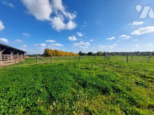 A VENDRE- TERRES AGRICOLES- 3H MERAL