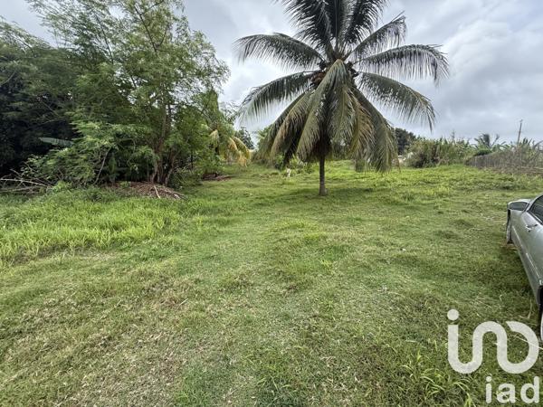 Maison 4 pièces de 87 m² à La Trinité (97220)