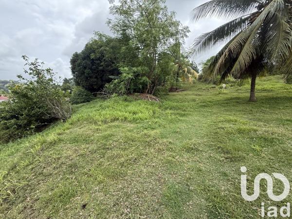 Maison 4 pièces de 87 m² à La Trinité (97220)