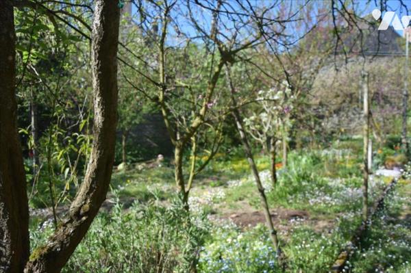 MAYENNE- Secteur Mairie, maison de ville avec atelier et jardin non attenant.

- Une maison d...