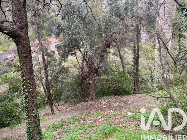Terrain à vendre 1 000 m² Gorbio