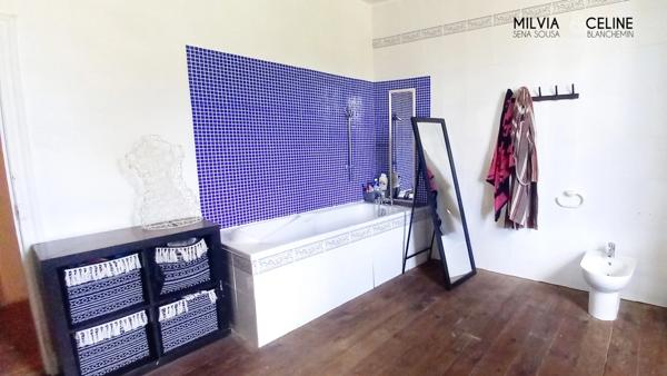 Propriete à vendre 32 pièces proche de CARCASSONNE (11) 2 habitations 522m2+ parc 2,82 hectares + dépendances