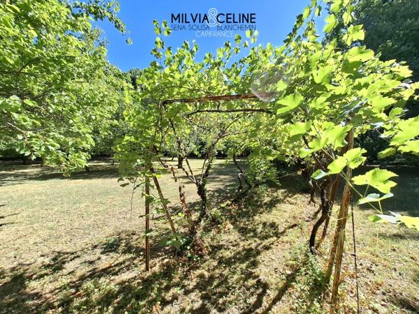Propriete à vendre 32 pièces proche de CARCASSONNE (11) 2 habitations 522m2+ parc 2,82 hectares + dépendances