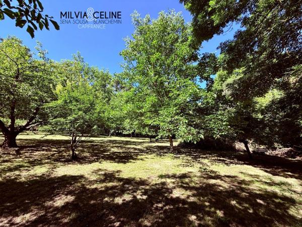 Propriete à vendre 32 pièces proche de CARCASSONNE (11) 2 habitations 522m2+ parc 2,82 hectares + dépendances