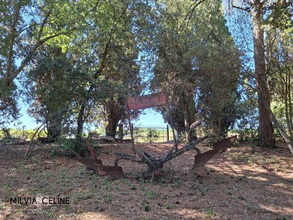 Propriete à vendre 32 pièces proche de CARCASSONNE (11) 2 habitations 522m2+ parc 2,82 hectares + dépendances