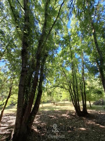 Propriete à vendre 32 pièces proche de CARCASSONNE (11) 2 habitations 522m2+ parc 2,82 hectares + dépendances