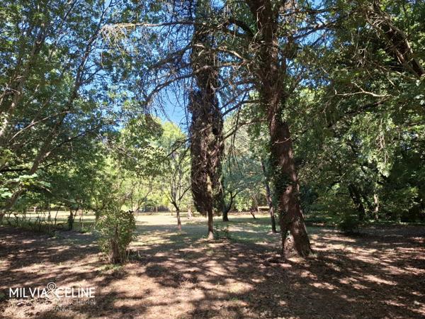 Propriete à vendre 32 pièces proche de CARCASSONNE (11) 2 habitations 522m2+ parc 2,82 hectares + dépendances