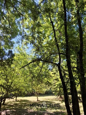 Propriete à vendre 32 pièces proche de CARCASSONNE (11) 2 habitations 522m2+ parc 2,82 hectares + dépendances