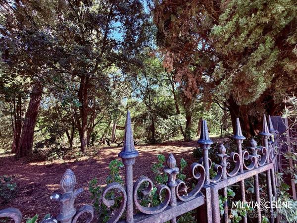 Propriete à vendre 32 pièces proche de CARCASSONNE (11) 2 habitations 522m2+ parc 2,82 hectares + dépendances