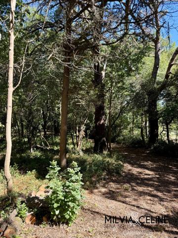 Propriete à vendre 32 pièces proche de CARCASSONNE (11) 2 habitations 522m2+ parc 2,82 hectares + dépendances