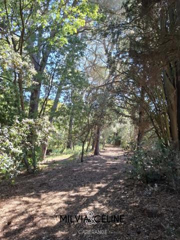 Propriete à vendre 32 pièces proche de CARCASSONNE (11) 2 habitations 522m2+ parc 2,82 hectares + dépendances