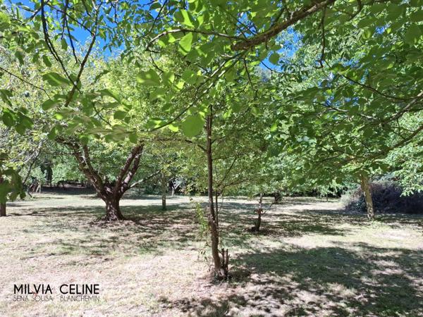 Propriete à vendre 32 pièces proche de CARCASSONNE (11) 2 habitations 522m2+ parc 2,82 hectares + dépendances