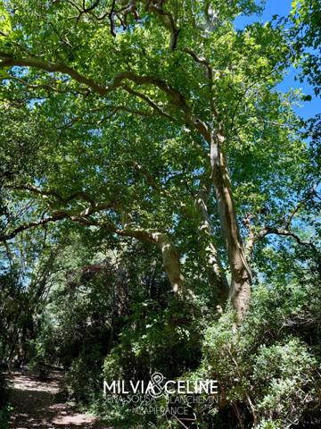 Propriete à vendre 32 pièces proche de CARCASSONNE (11) 2 habitations 522m2+ parc 2,82 hectares + dépendances