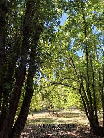Propriete à vendre 32 pièces proche de CARCASSONNE (11) 2 habitations 522m2+ parc 2,82 hectares + dépendances
