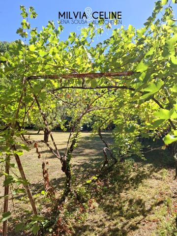 Propriete à vendre 32 pièces proche de CARCASSONNE (11) 2 habitations 522m2+ parc 2,82 hectares + dépendances