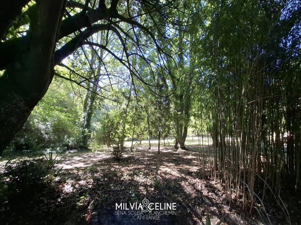 Propriete à vendre 32 pièces proche de CARCASSONNE (11) 2 habitations 522m2+ parc 2,82 hectares + dépendances