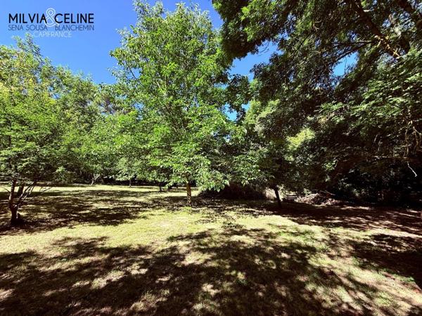 Propriete à vendre 32 pièces proche de CARCASSONNE (11) 2 habitations 522m2+ parc 2,82 hectares + dépendances