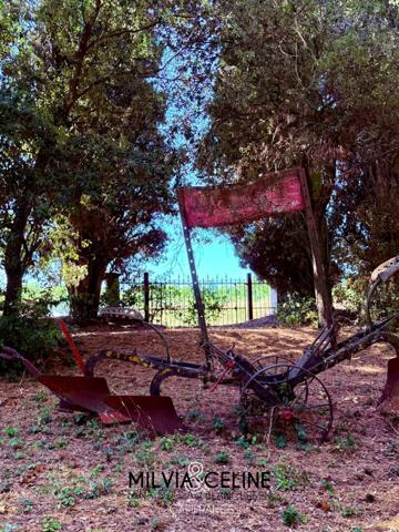 Propriete à vendre 32 pièces proche de CARCASSONNE (11) 2 habitations 522m2+ parc 2,82 hectares + dépendances