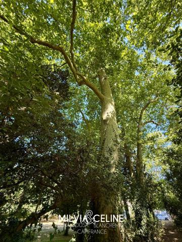 Propriete à vendre 32 pièces proche de CARCASSONNE (11) 2 habitations 522m2+ parc 2,82 hectares + dépendances