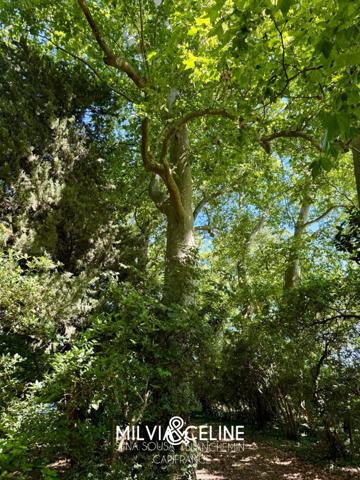 Propriete à vendre 32 pièces proche de CARCASSONNE (11) 2 habitations 522m2+ parc 2,82 hectares + dépendances