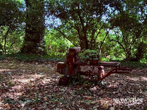 Propriete à vendre 32 pièces proche de CARCASSONNE (11) 2 habitations 522m2+ parc 2,82 hectares + dépendances