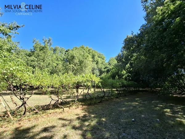 Propriete à vendre 32 pièces proche de CARCASSONNE (11) 2 habitations 522m2+ parc 2,82 hectares + dépendances