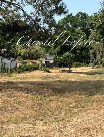 Terrain - La Plaine sur Mer - 704 m2 - 200 m plage du Cormier