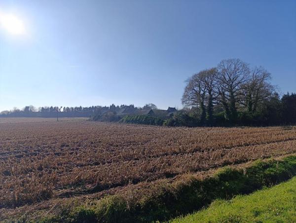 Ancien corps de ferme Noyal Pontivy 420 m2