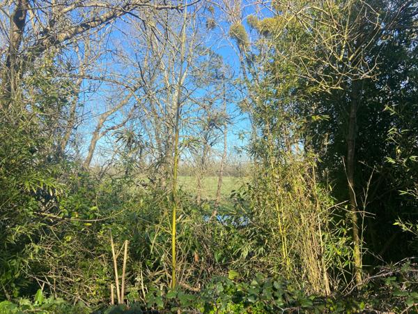 LA CLAYE 85320 15 MIN DES PLAGES ADORABLE MAISON EN PIERRES AVEC DEPENDANCES ET JARDIN CLOS A PRIX FOU