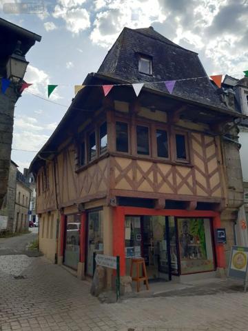 Achat - Immeuble | Local mixte (Pro/Hab) Pontivy 56300 3 pièces 205 m 2