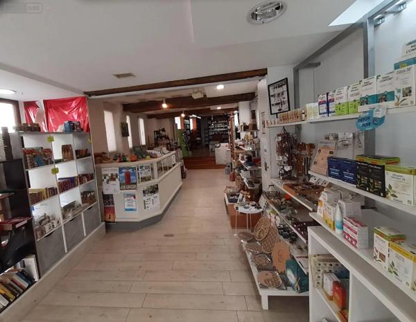 Achat - Immeuble | Local mixte (Pro/Hab) Pontivy 56300 3 pièces 205 m 2