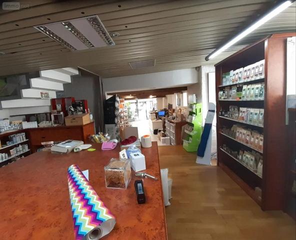 Achat - Immeuble | Local mixte (Pro/Hab) Pontivy 56300 3 pièces 205 m 2