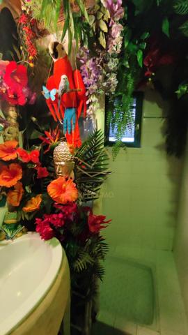 L'Isle-sur-la-Sorgue (84800) Studio lumineux au cœur de la " Venise provençale "