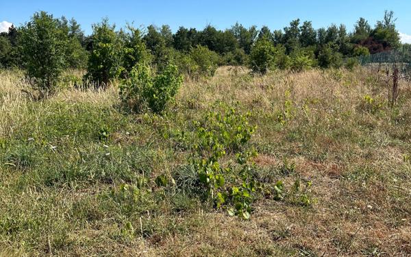 Terrain à vendre    Noé