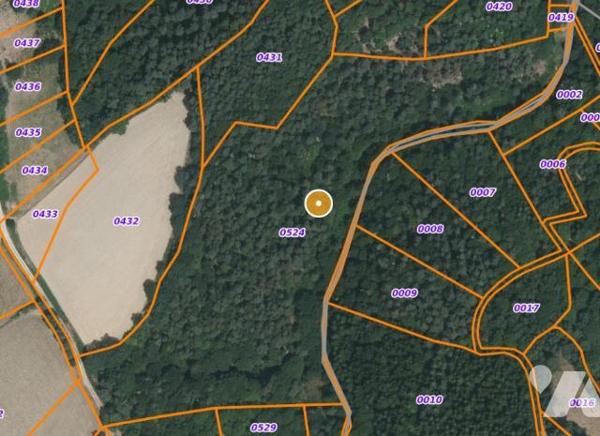 À VENDRE 3 PARCELLES BOISEES A VAL D'ARCOMIE