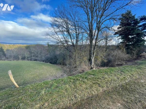 À VENDRE 3 PARCELLES BOISEES A VAL D'ARCOMIE