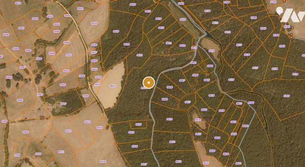 À VENDRE 3 PARCELLES BOISEES A VAL D'ARCOMIE