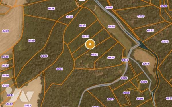 À VENDRE 3 PARCELLES BOISEES A VAL D'ARCOMIE