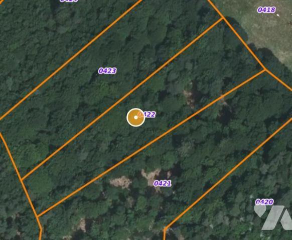 À VENDRE 3 PARCELLES BOISEES A VAL D'ARCOMIE