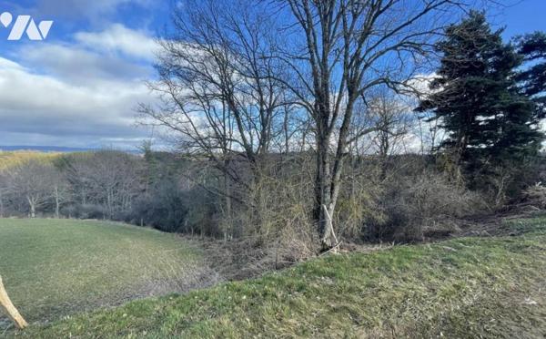 À VENDRE 3 PARCELLES BOISEES A VAL D'ARCOMIE