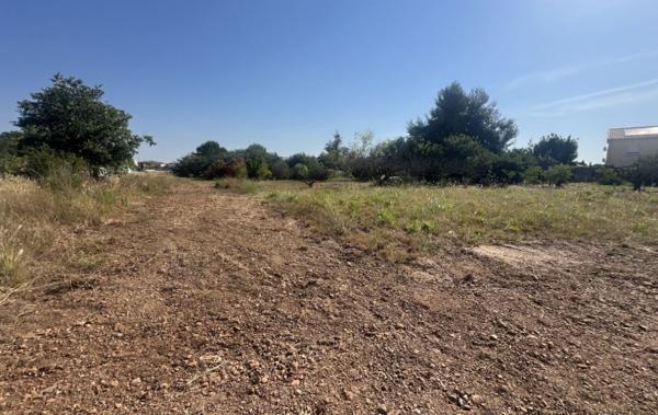 Vente Terrain A batir Saint-gilles