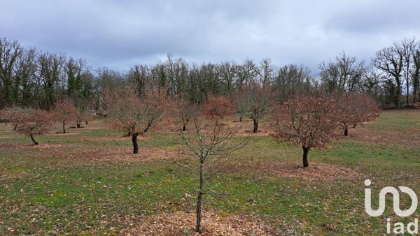 Terrain à vendre 11 755 m² Bach