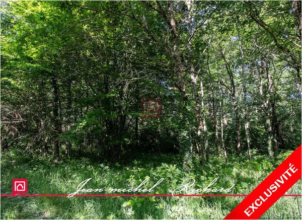 Terrain de loisirs Le Controis En Sologne 63 m2