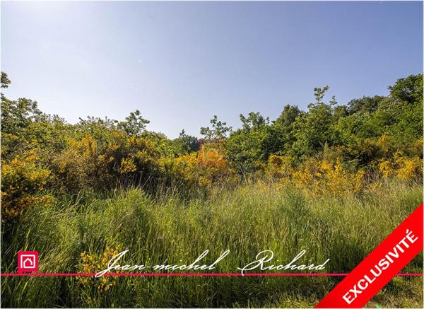 Terrain de loisirs Le Controis En Sologne 63 m2