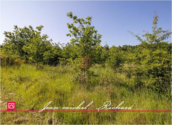 Terrain de loisirs Le Controis En Sologne 63 m2